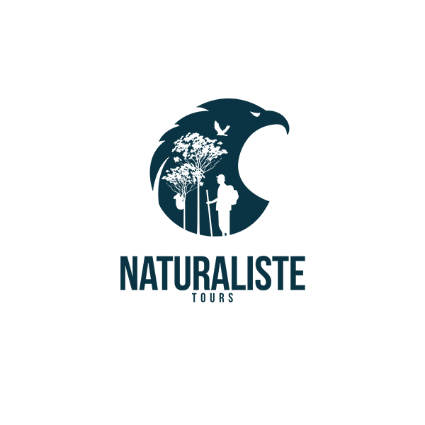 Naturaliste Tours