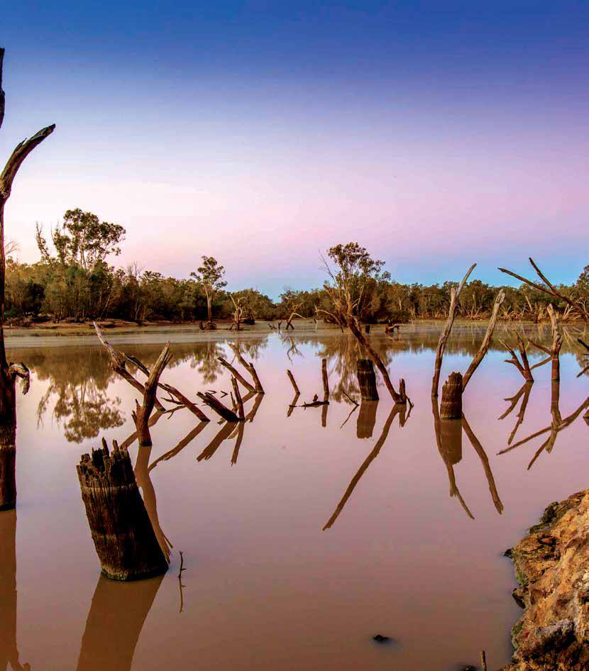 Queensland Crossroads